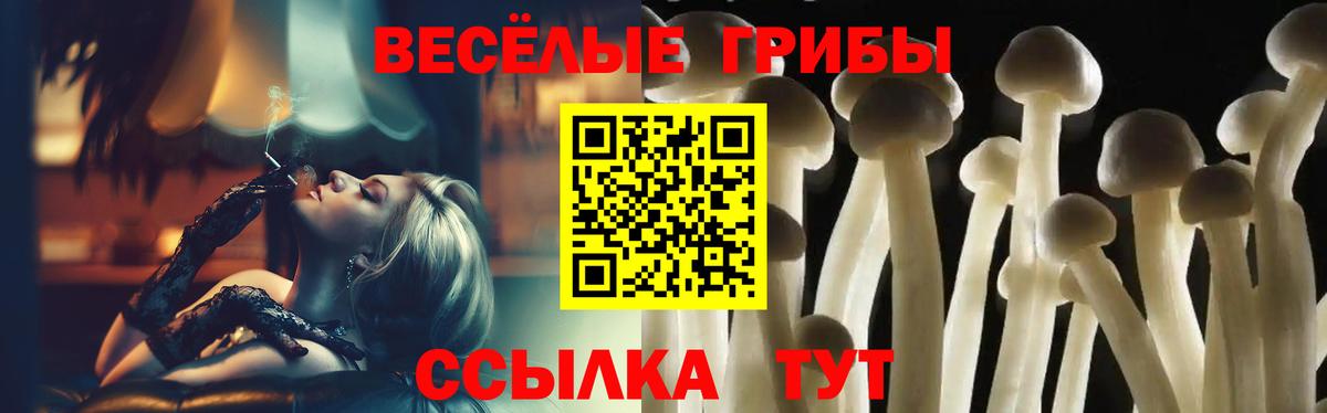 Сердобск  Галлюциногенные грибы Psilocybe  Псилоцибиновые грибы MAGIC MUSHROOMS  Вход с VPN 